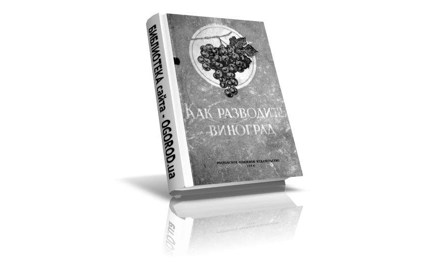 «Как разводить виноград», Машинская Л.П., Дашкевич А.В., (1954)