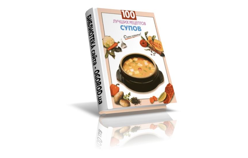 «100 лучших рецептов супов», Выдревич Г.С., (2008)