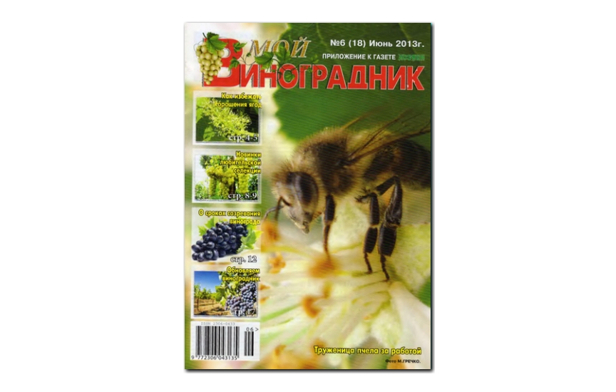 №06(2013) - Журнал «Мой виноградник»