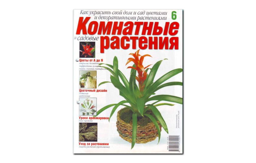 №06(2008) - Журнал «Комнатные и садовые растения»