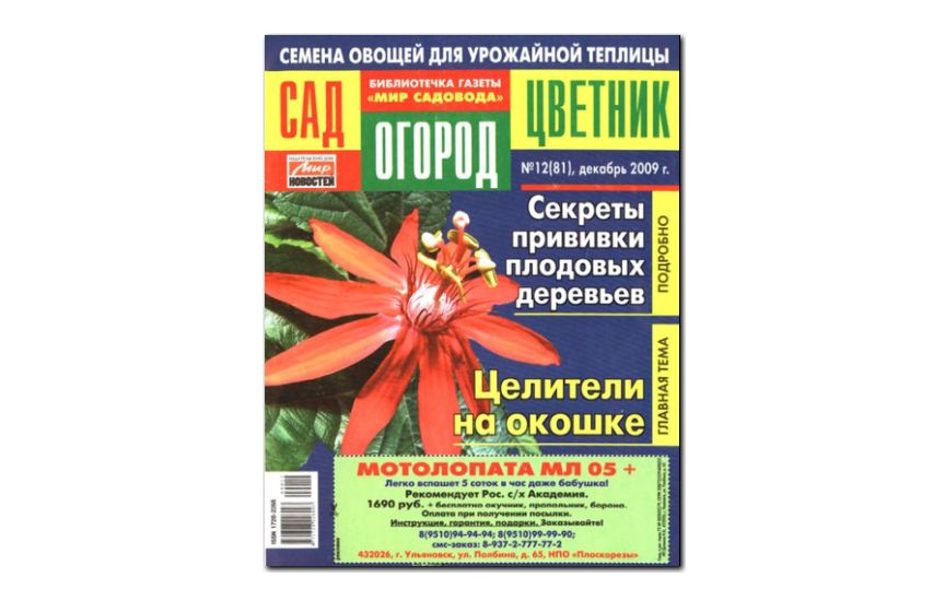 №12(2009) - Журнал «Сад, огород, цветник»