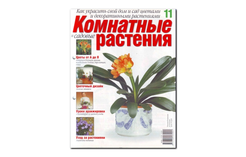 №11(2008) - Журнал «Комнатные и садовые растения»