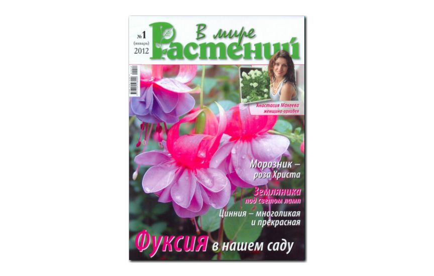 №01(2012) - Журнал «В мире растений»