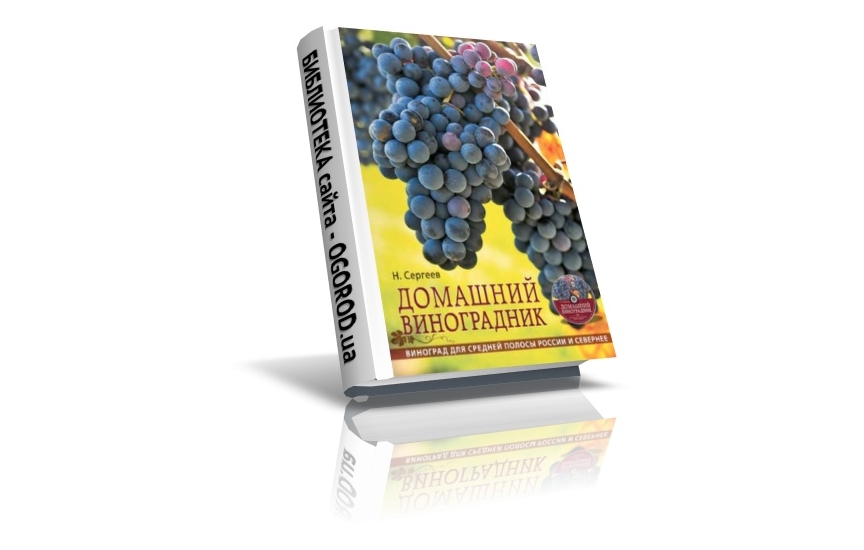 «Домашний  виноградник»,  Сергееев Н.Г., (2012)