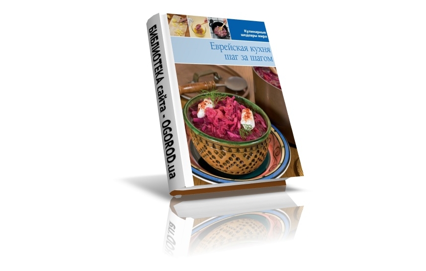 «Кулинарные шедевры мира. Еврейская кухня», Коллектив (автор), (2013)