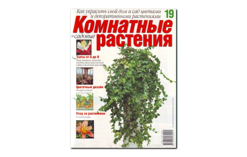 №19(2008) - Журнал «Комнатные и садовые растения»