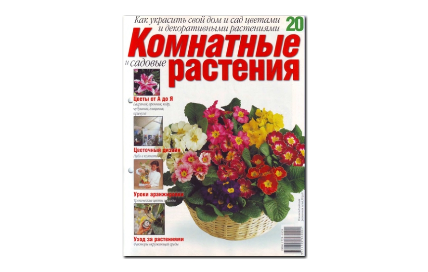 №20(2008) - Журнал «Комнатные и садовые растения»