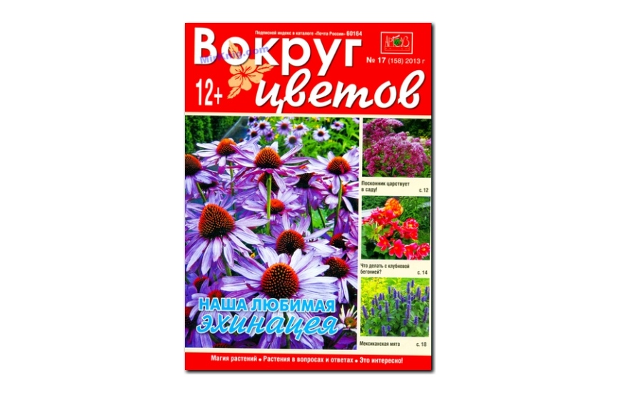 №17(2013) - Журнал «Вокруг цветов»