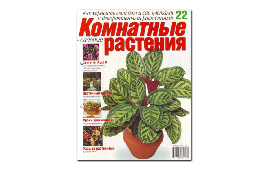 №22(2008) - Журнал «Комнатные и садовые растения»
