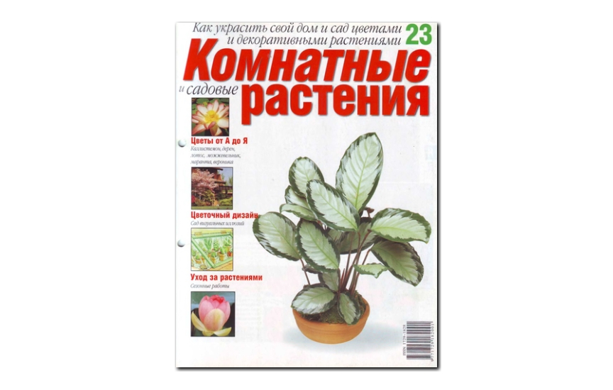 №23(2008) - Журнал «Комнатные и садовые растения»