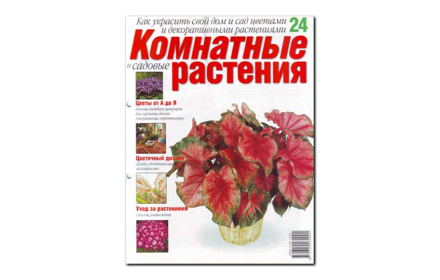 №24(2008) - Журнал «Комнатные и садовые растения»