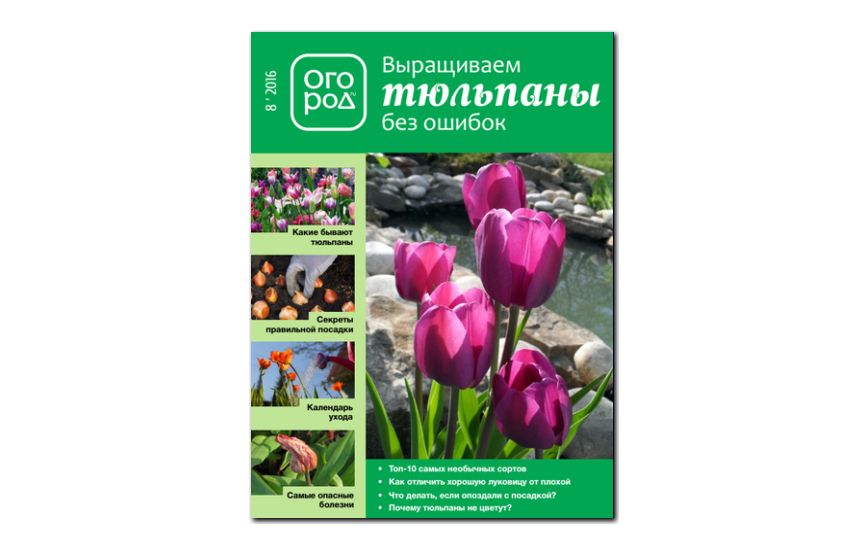 №08(2016) - Журнал «Огород» - Выращиваем тюльпаны