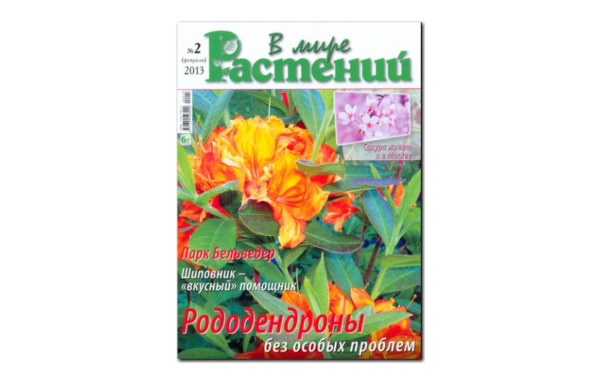 №02(2013) - Журнал «В мире растений»