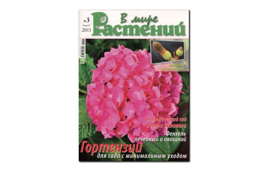 №03(2013) - Журнал «В мире растений»