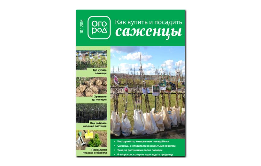 №10(2016) - Журнал «Огород» - Как купить и посадить саженцы