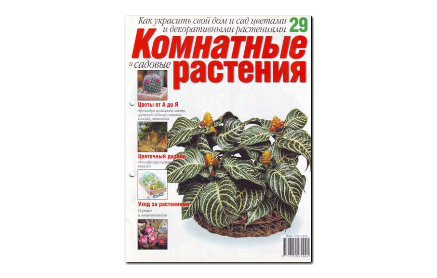 №29(2008) - Журнал «Комнатные и садовые растения»