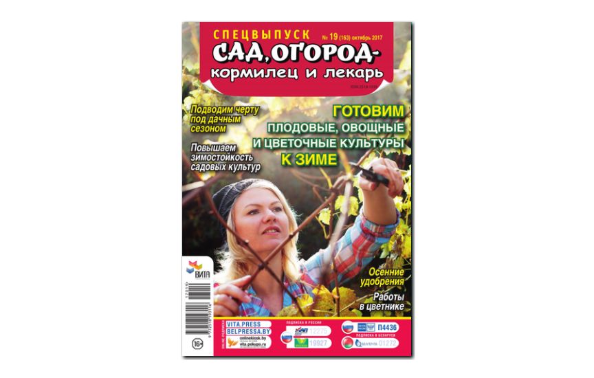 №19(2017) - Журнал «Сад, огород – кормилец и лекарь», св