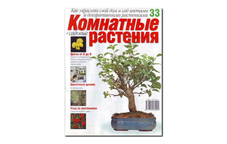 №33(2008) - Журнал «Комнатные и садовые растения»