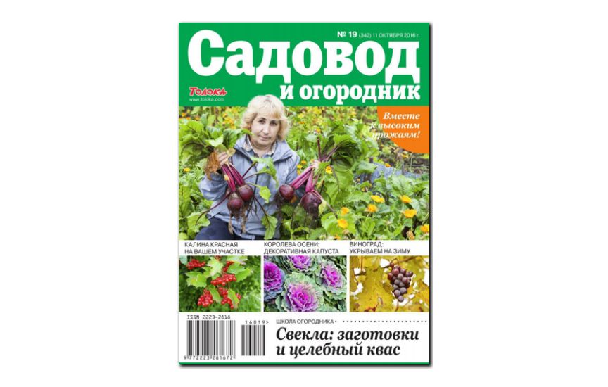 №19(2016) - Журнал «садовод и огородник»