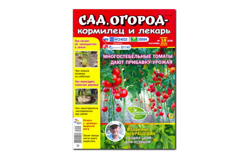 №18(2016) - Журнал «Сад, огород – кормилец и лекарь»