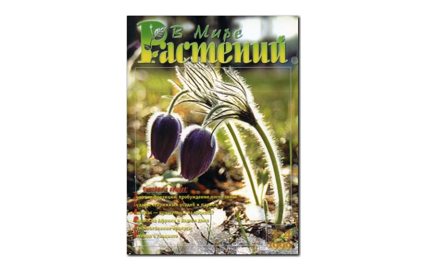 №3-4(1999) - Журнал - «В мире растений»