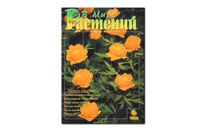 №6(1999) -  Журнал - «В мире растений»