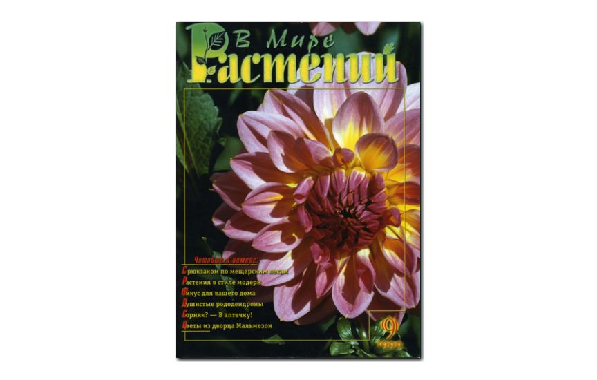 №9(1999) -  Журнал - «В мире растений»