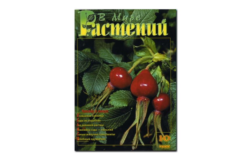 №10(1999) - Журнал - «В мире растений»