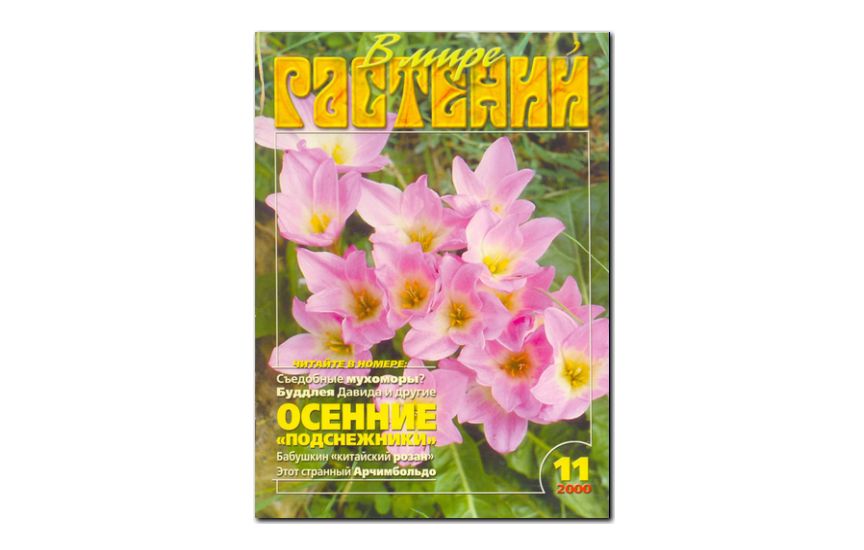 №11(2000) - Журнал - «В мире растений»