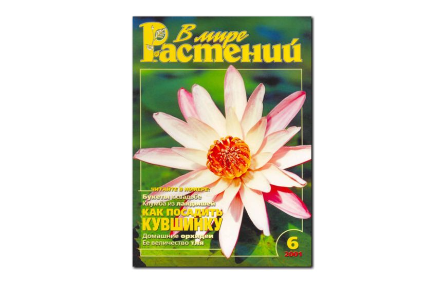№6(2001) - Журнал - «В мире растений»