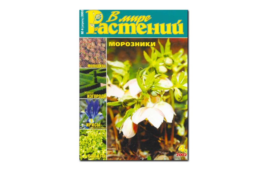 №4(2002) - Журнал - «В мире растений»