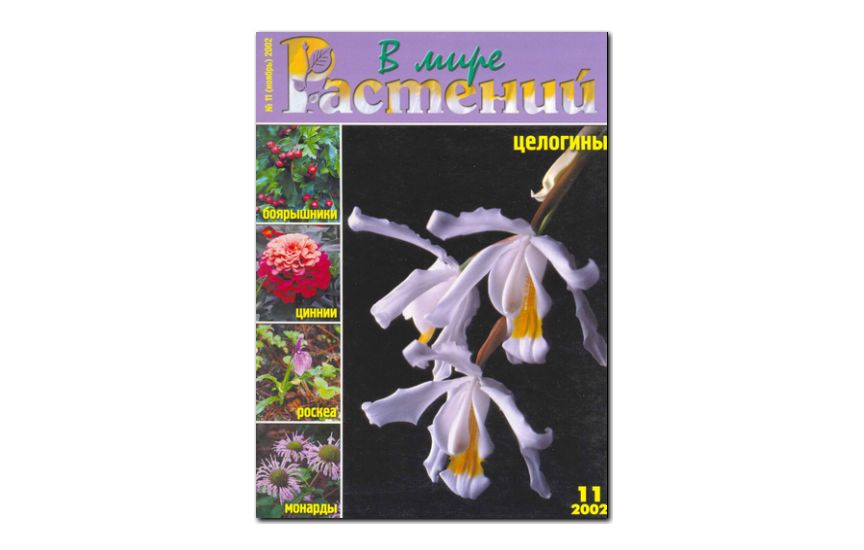 №11(2002) - Журнал - «В мире растений»