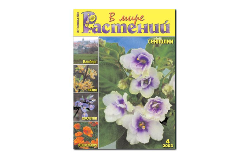 №4(2003) - Журнал - «В мире растений»