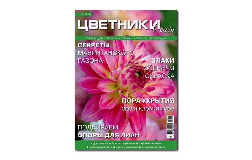 №12(2016) - Журнал «Цветники в саду»