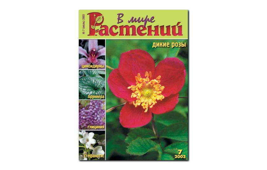 №7(2003) - Журнал - «В мире растений»