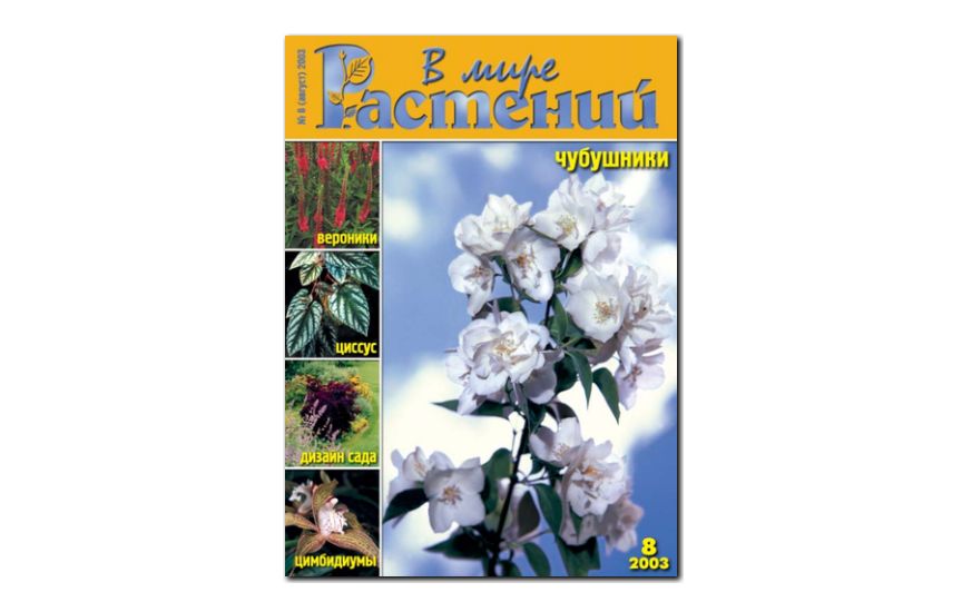 №8(2003) - Журнал - «В мире растений»