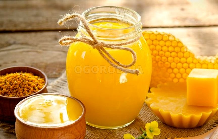 Мёд цветочный (натуральный) «Разнотравье»