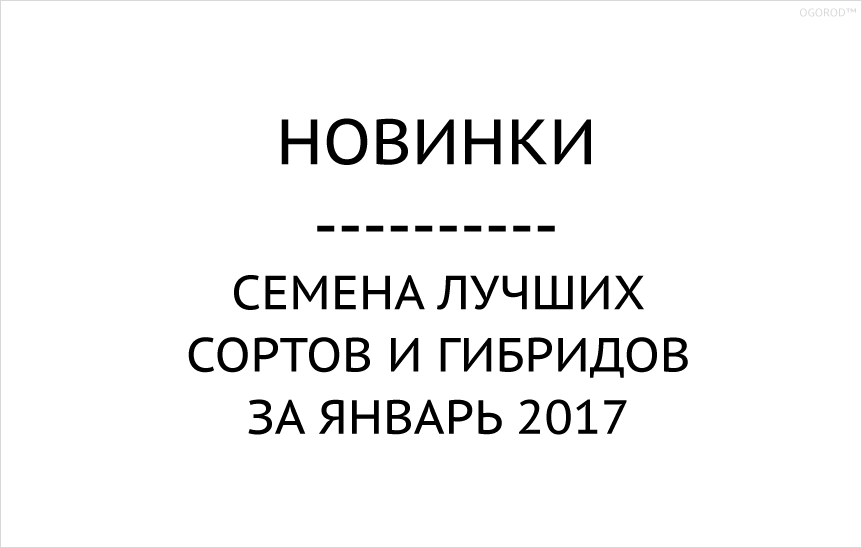 Новинки семян лучших сортов и гибридов + Новая категория «Биодеструкторы».