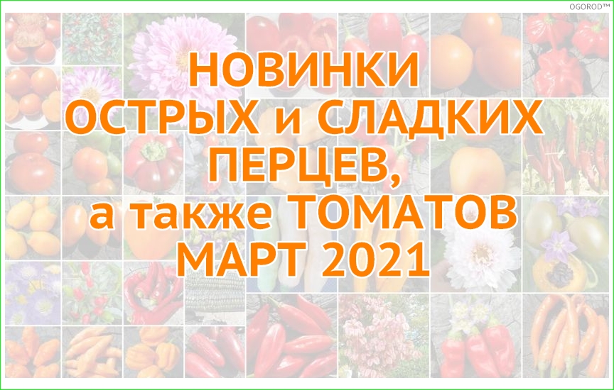 Новинки перцев и томатов - март 2021