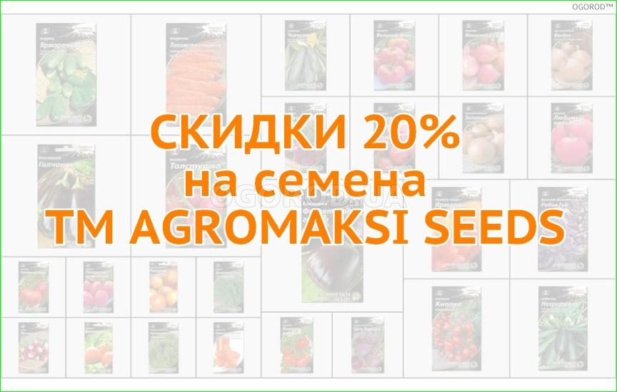 Скидка 20% на семена от ТМ AGROMAKSI SEEDS (Украина)