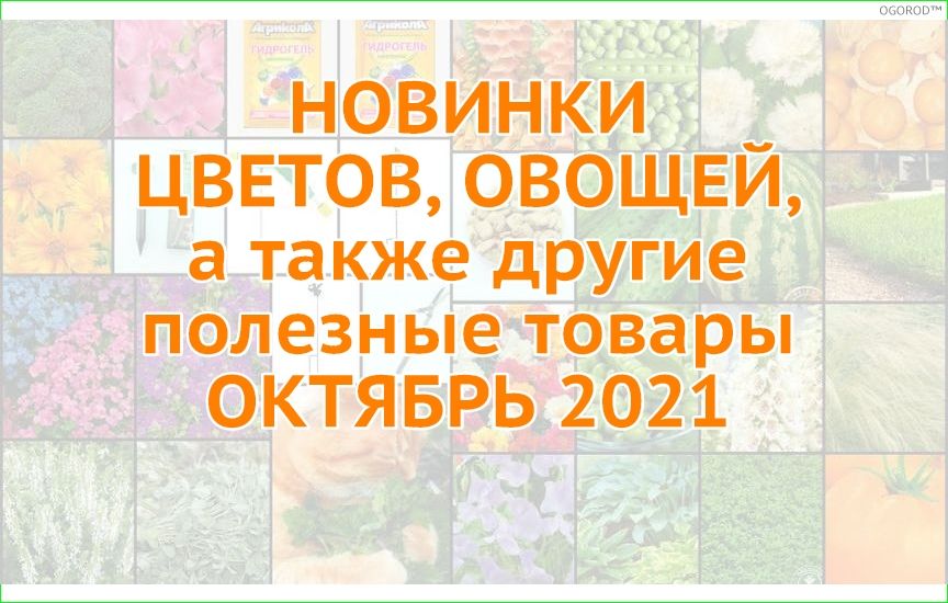 Новинки овощей и цветов - октябрь 2021