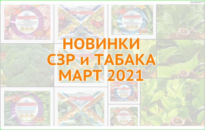 Новинки табака и СЗР - июнь 2021