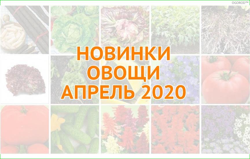 Новинки овощей - апрель 2020