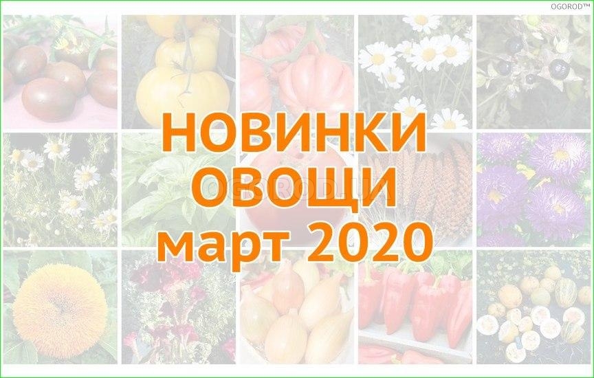 Новинки овощей - март 2020