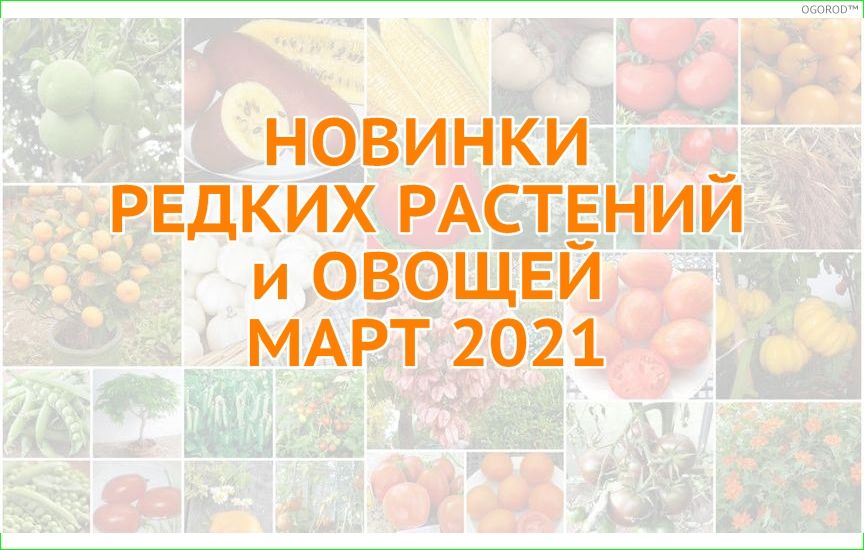 Новинки экзотический растений и овощей - март 2021