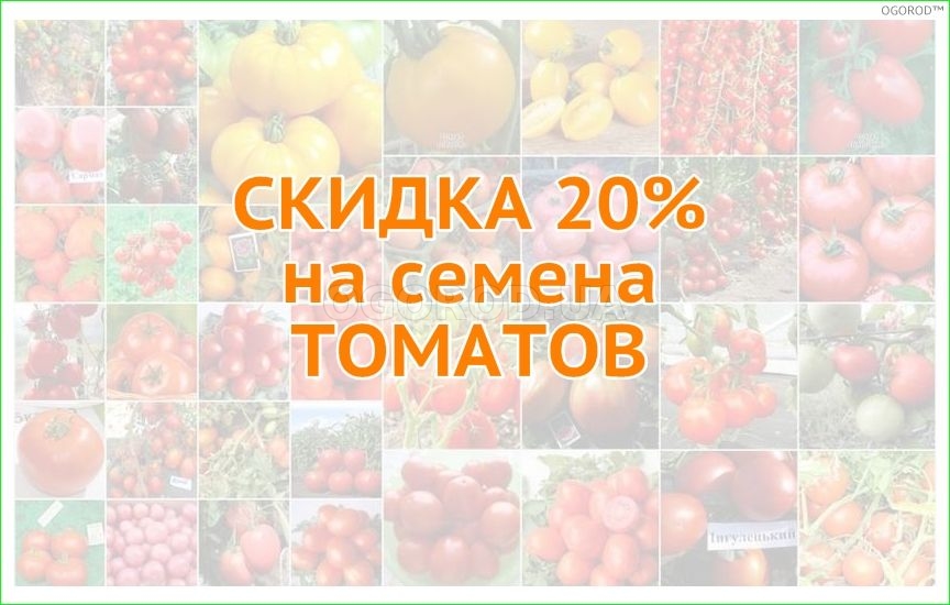 Скидка 20% на семена томатов