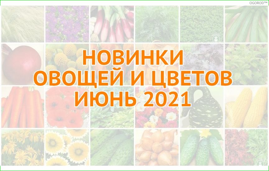 Новинки овощей и цветов - июнь 2021
