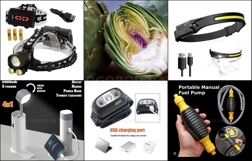 Новинки овощей и цветов - март 2026