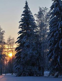 Зимний пейзаж-113