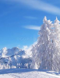 Зимний пейзаж-096
